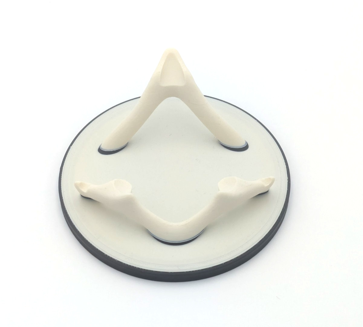 3D Printed Clitoris Anatomy Model • Educational Science Display • Learning Tool