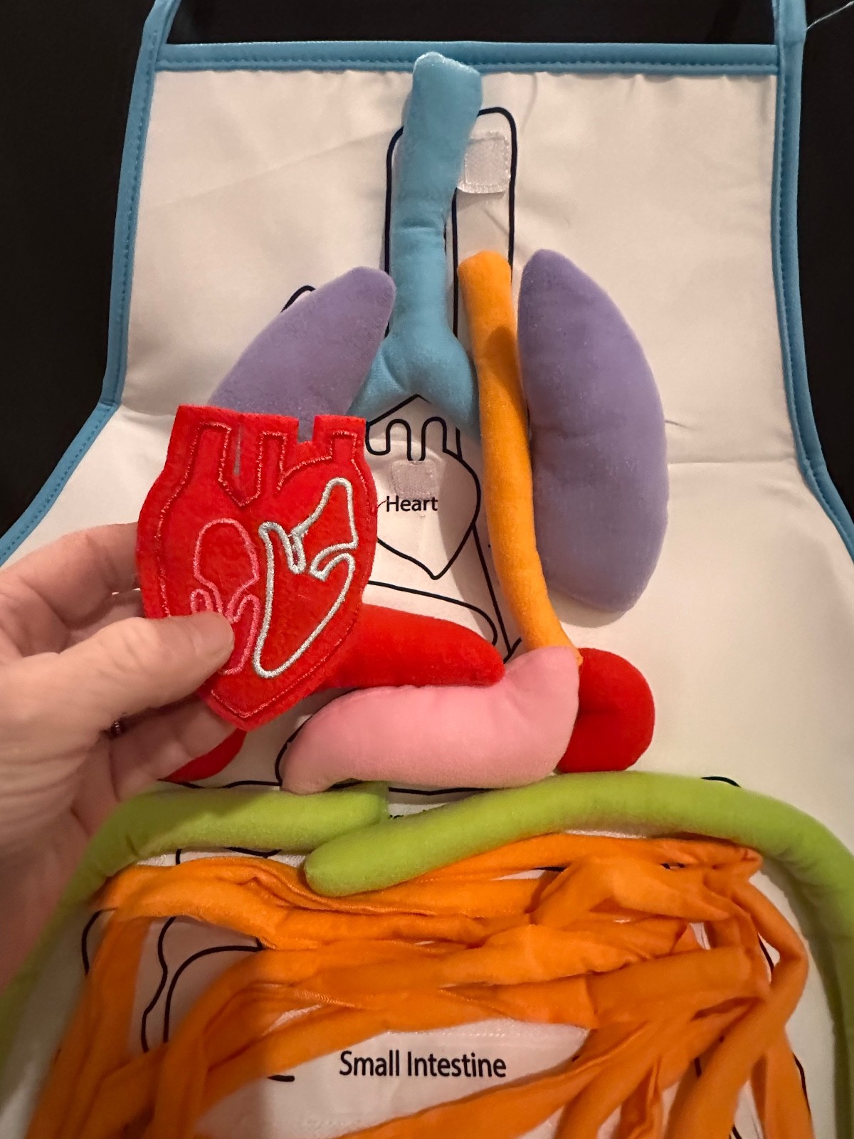 Children’s Human Body Learning Apron Plush w/ Removable Organs