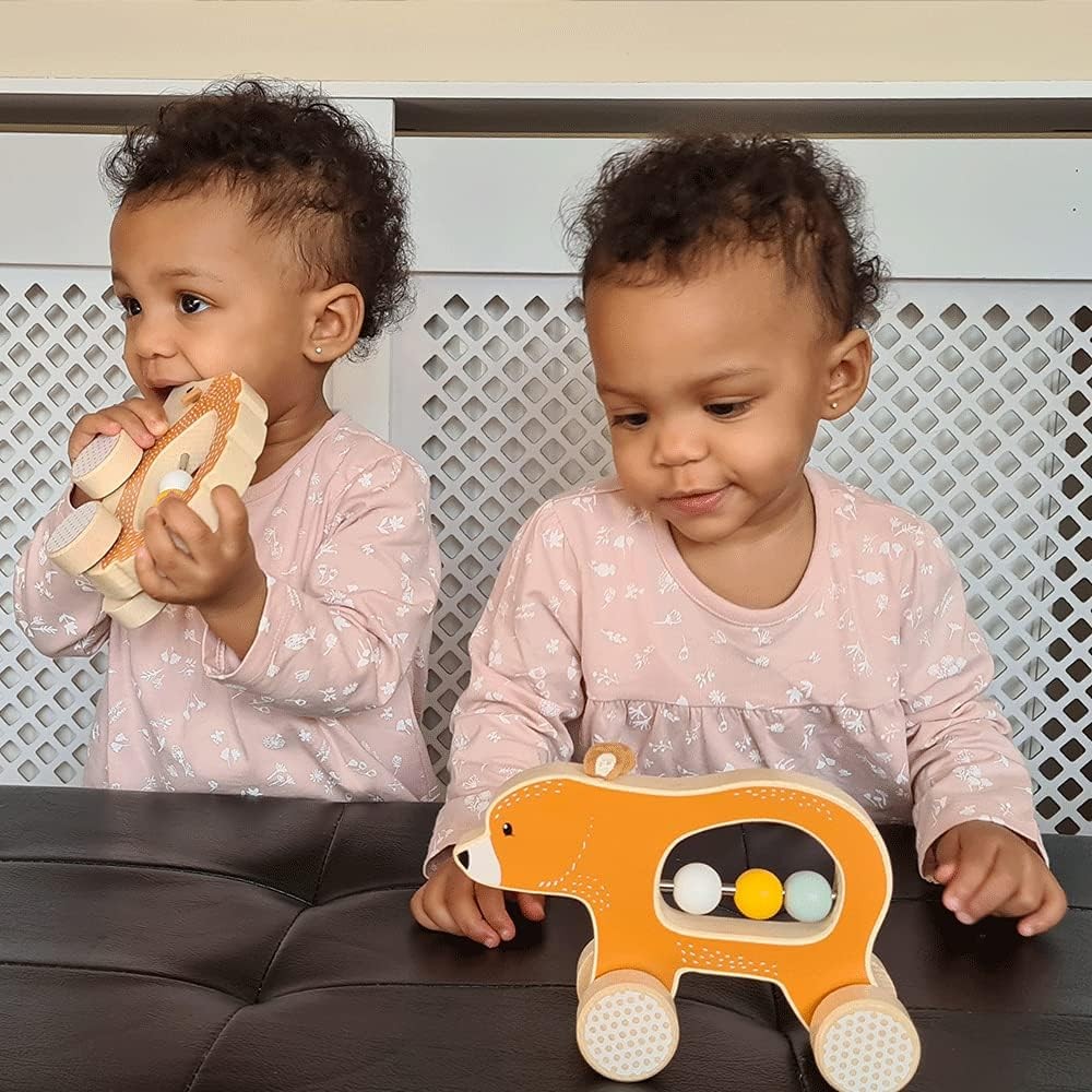 Bigjigs Toys Wooden Push Along Hedgehog – Sustainably-Made Animal Car Toy With W