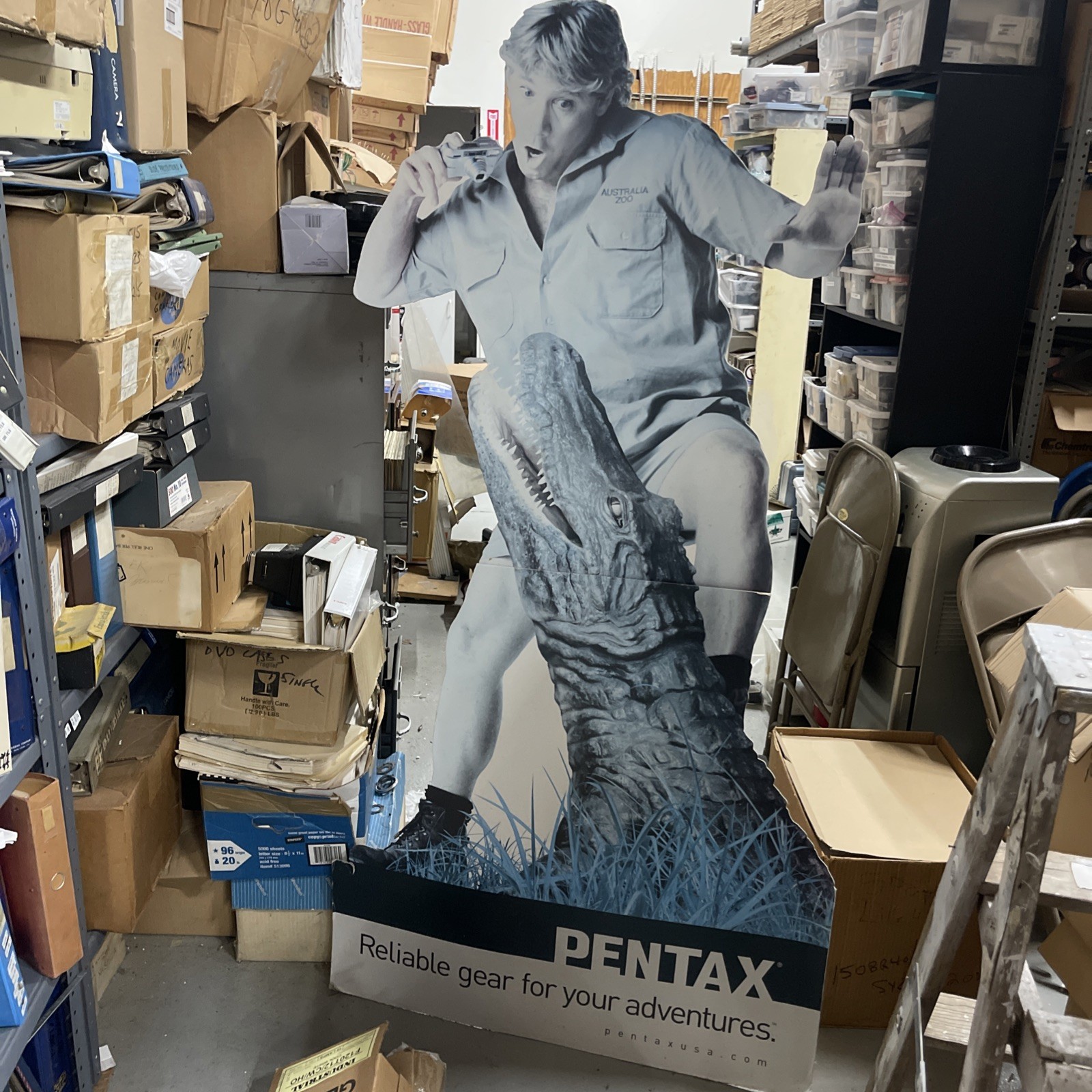 Steve Irwin Crocodile Hunter Australia Zoo Life size Cardboard Standup Pentax