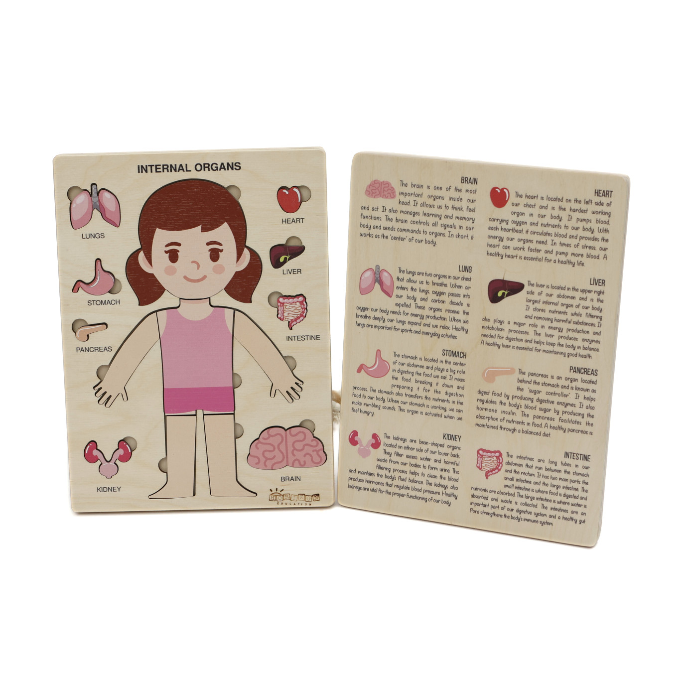 Montessori Wooden Human Body Puzzle – Organs & Stand, STEM Educational (Ages 3+)