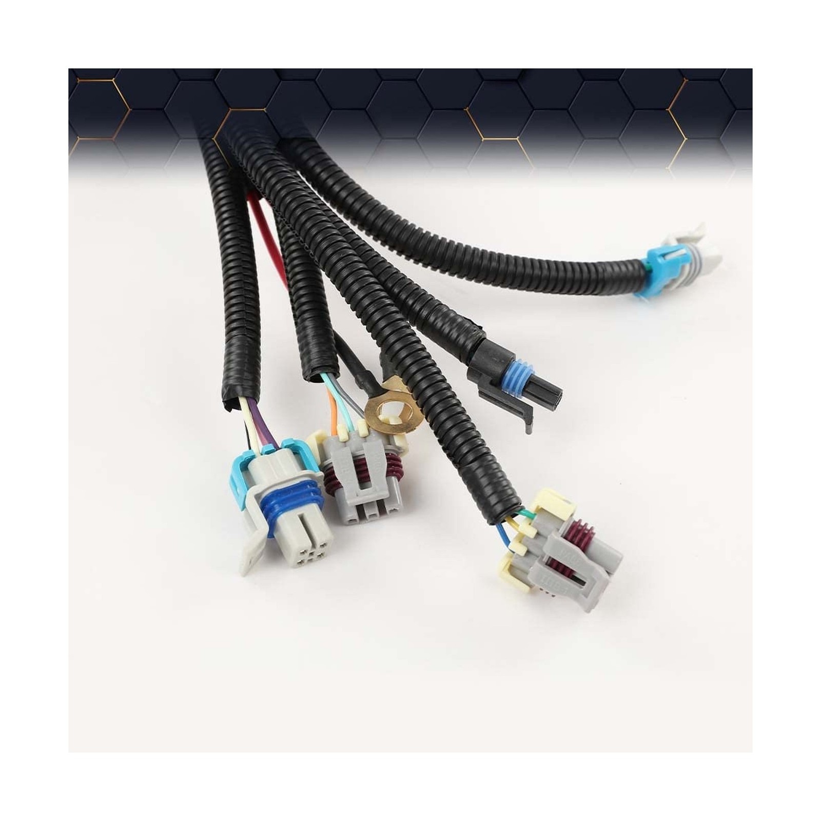 PIT66 Standalone Wiring Harness Compatible with 2003-2007 LS Vortec Engines D…