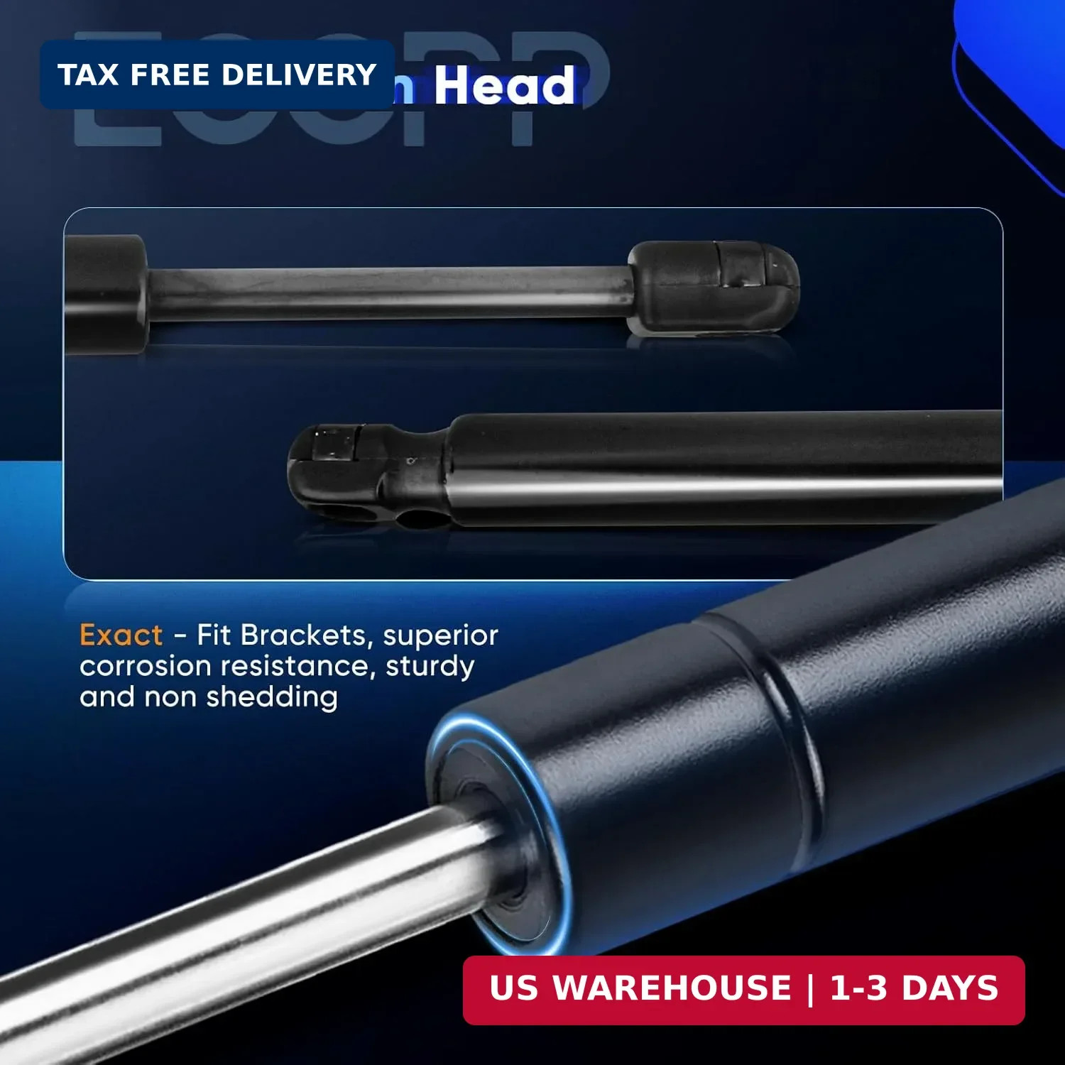 ECCPP 2pcs Rear Trunk Lift Supports Struts Rods Shocks for Volkswagen for Jetta
