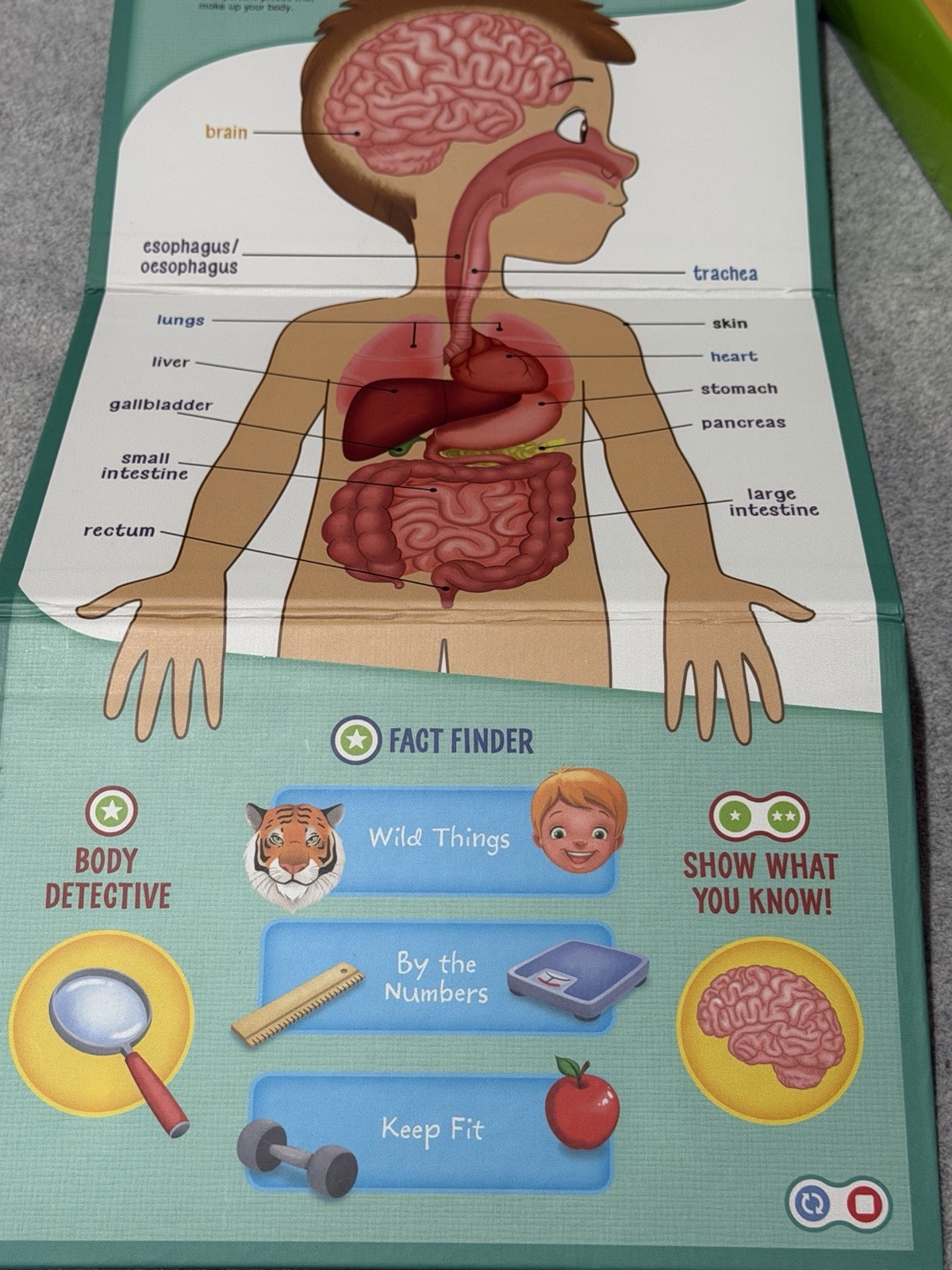 Leapfrog Tag Software Interactive Human Body Discovery Pack 2013