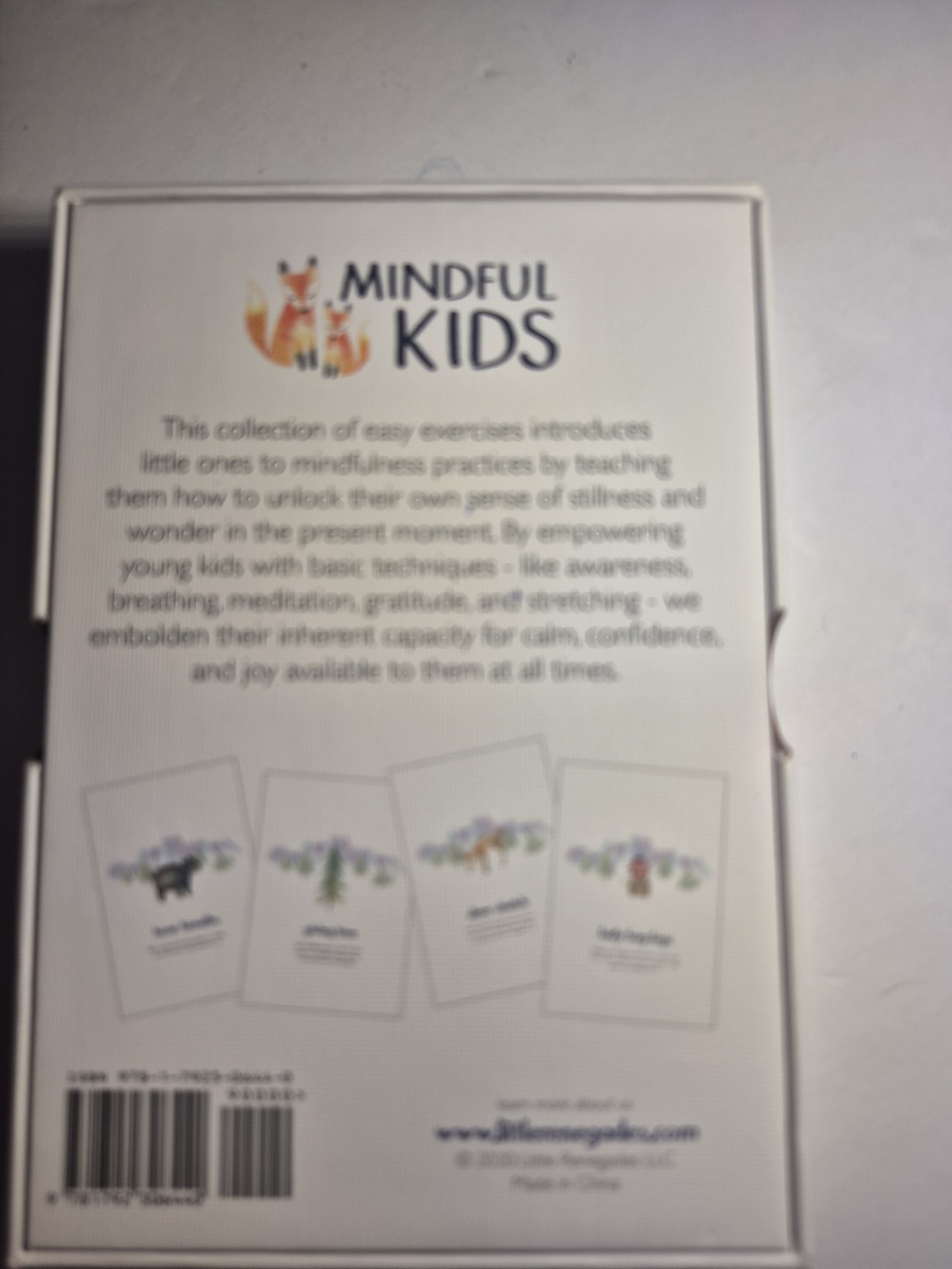 Little Renegades Mindful Kids Cards Ages 3+ Daily Exercises of Mindfulness NEW