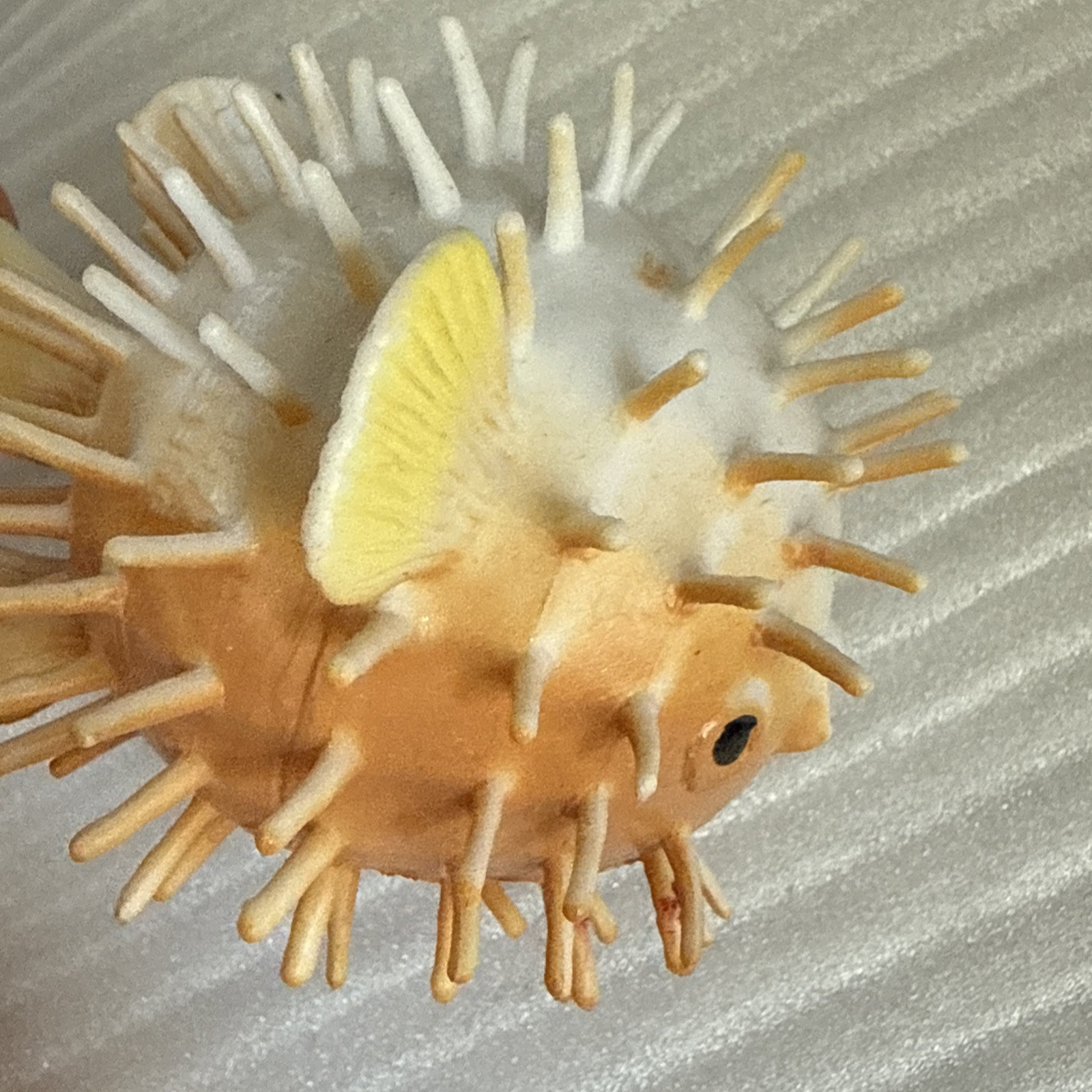 Boley PUFFER FISH Nature World Sea Creatures Make Offer See Other Listings