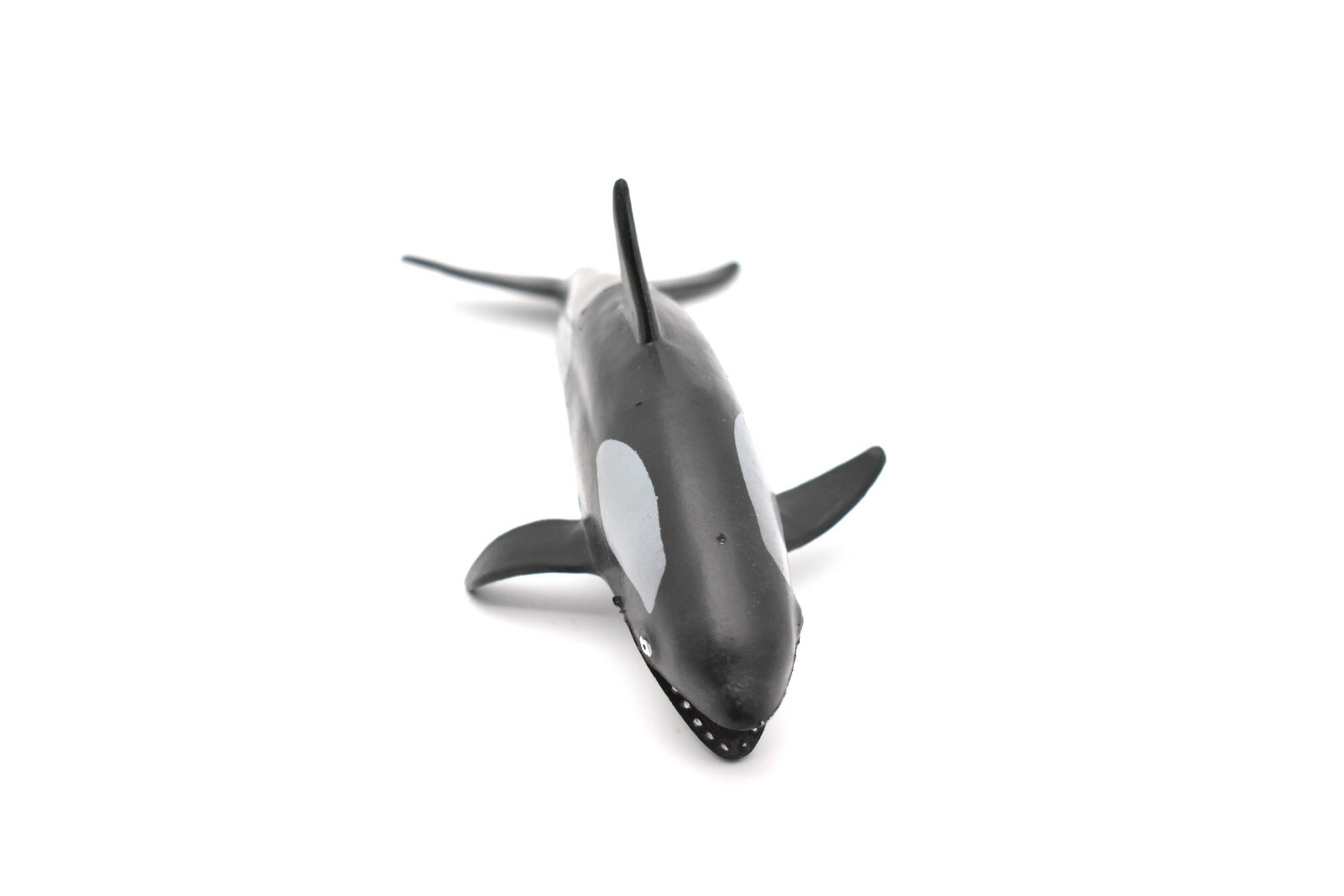 Orca, Killer Whale, Realistic Model Rubber Replica Animal, Kids Gift OK03 6″