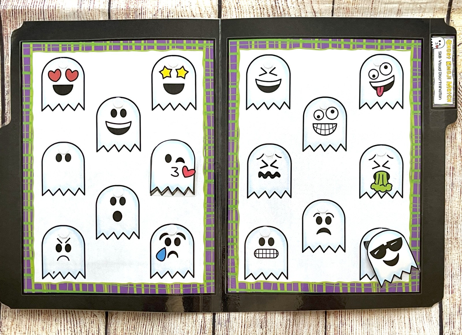 Ghost Face Matching File Folder Game Visual Discrimination Education Autism