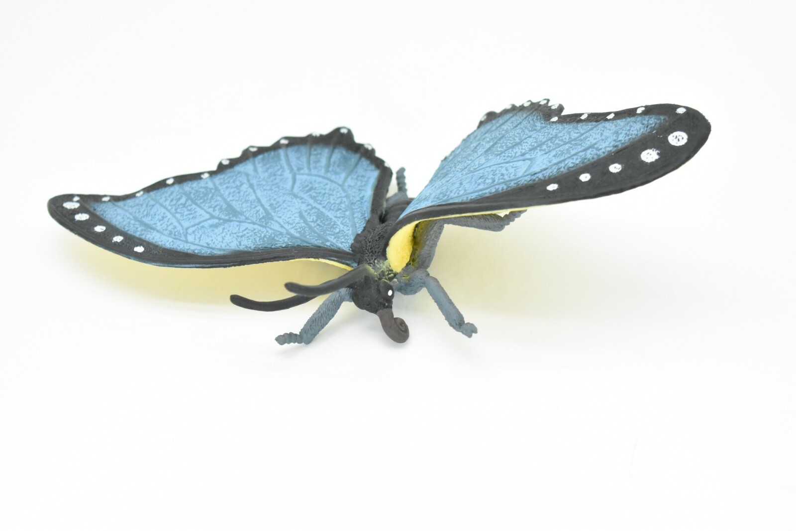 Butterfly, Blue Morpho, Realistic Very Nice Rubber Replica 8″ CWG86 B153