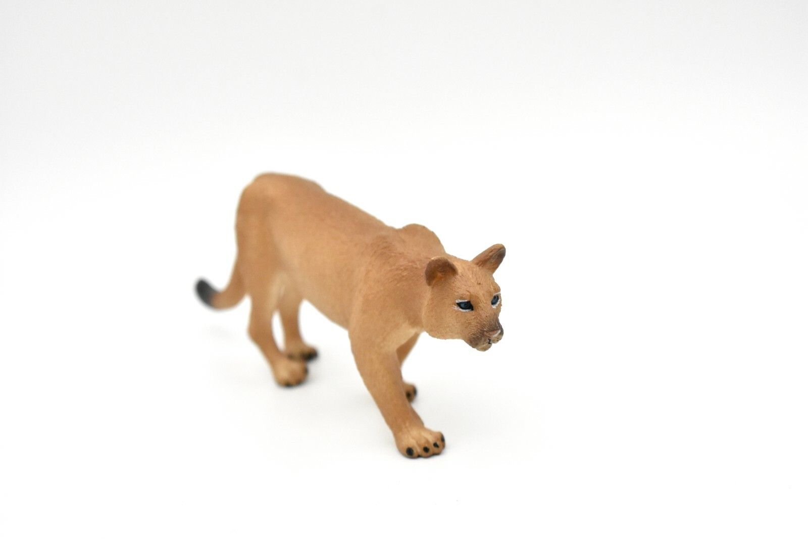 Puma, Cougar, Mountain Lion, Museum Quality Plastic Replica 5″ M127 B648