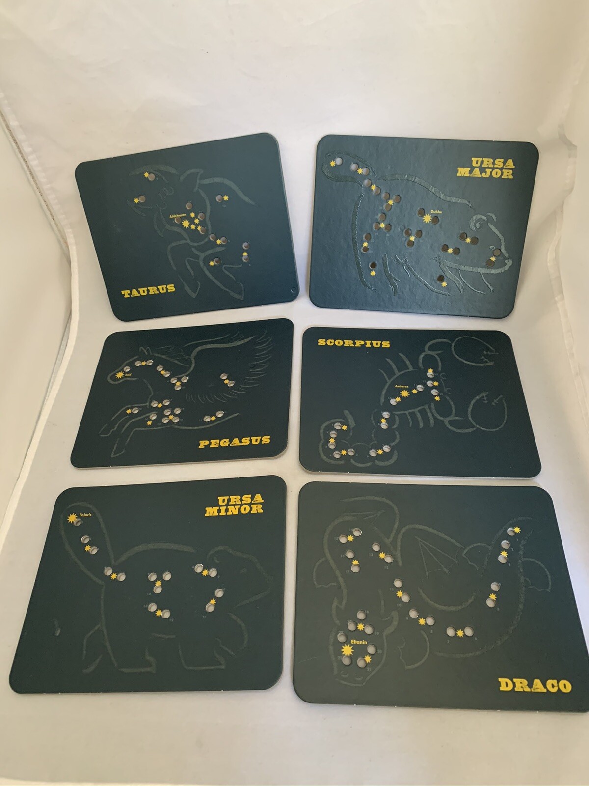 ANIMALS IN THE STARS LACING CARDS / glow in the dark / Chronicle Books I1