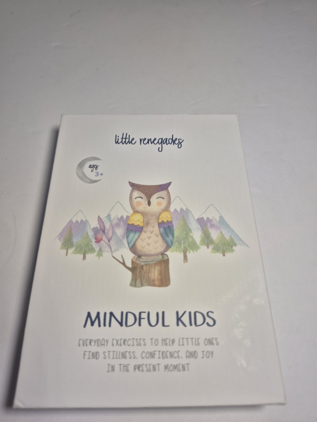Little Renegades Mindful Kids Cards Ages 3+ Daily Exercises of Mindfulness NEW