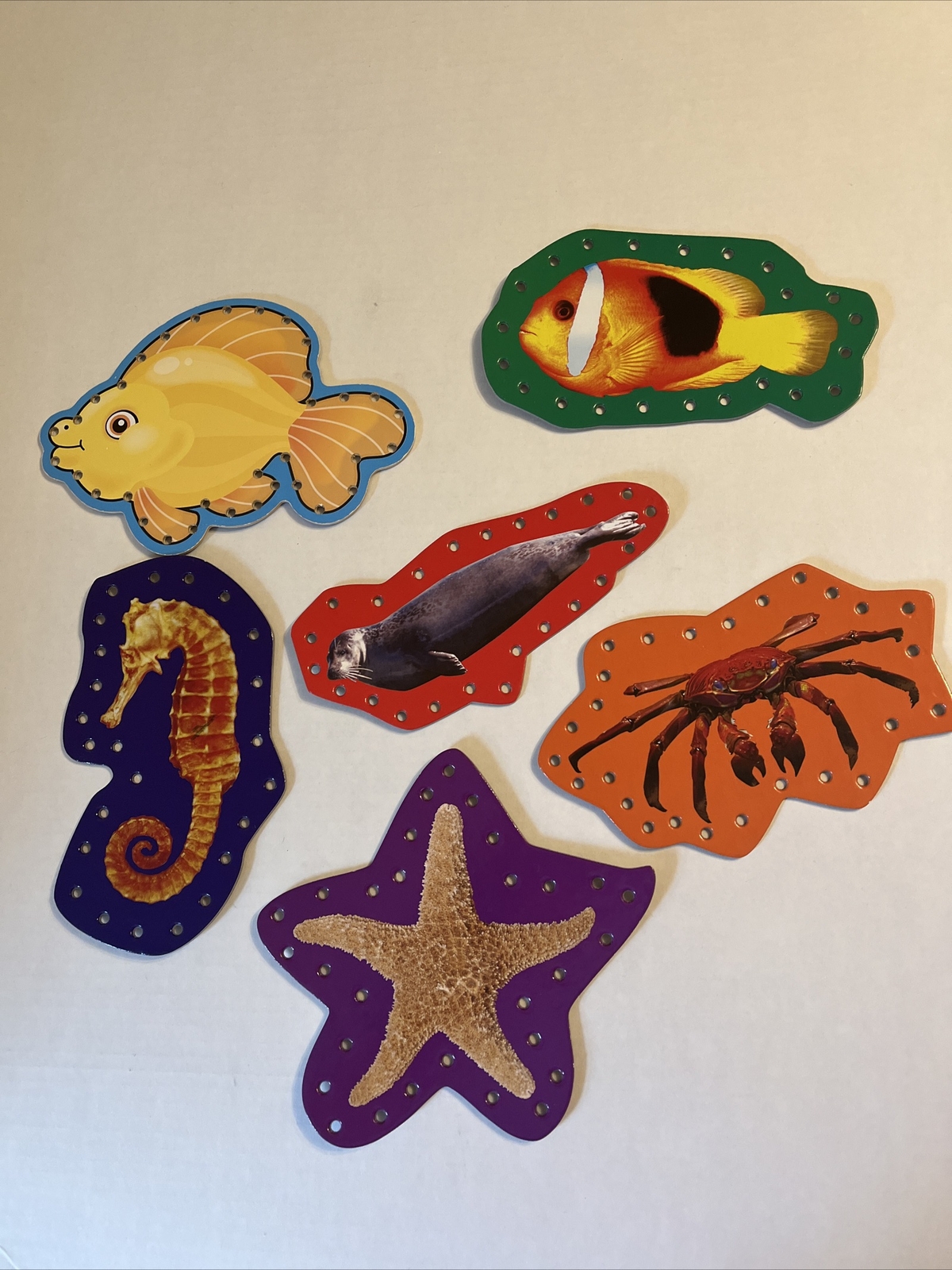 Lacing Sea Creatures, Cards And Strings