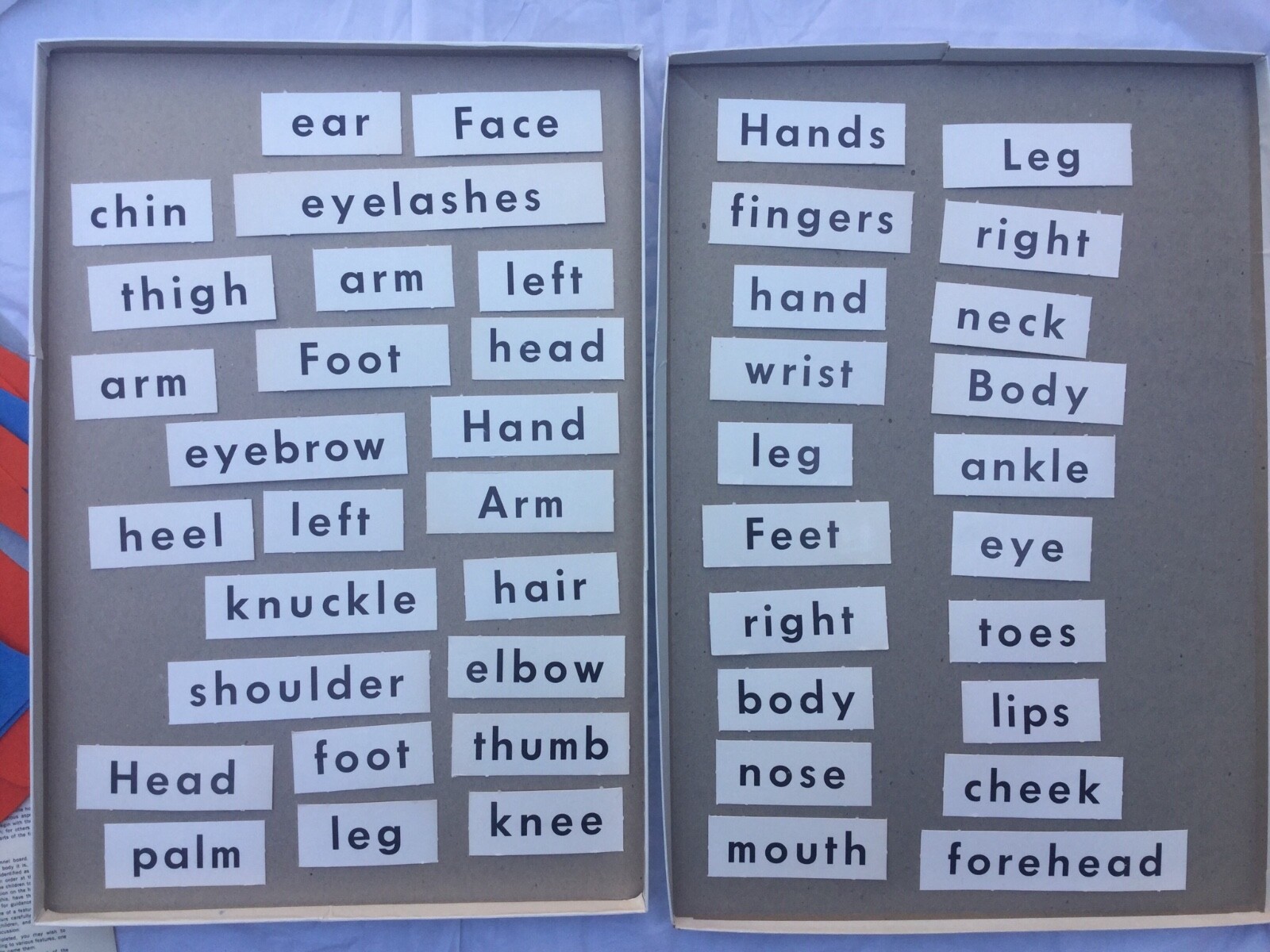 Judy Instructo Flannel Board Set My Face And Body #284 Teaching Aid Felt Vintage