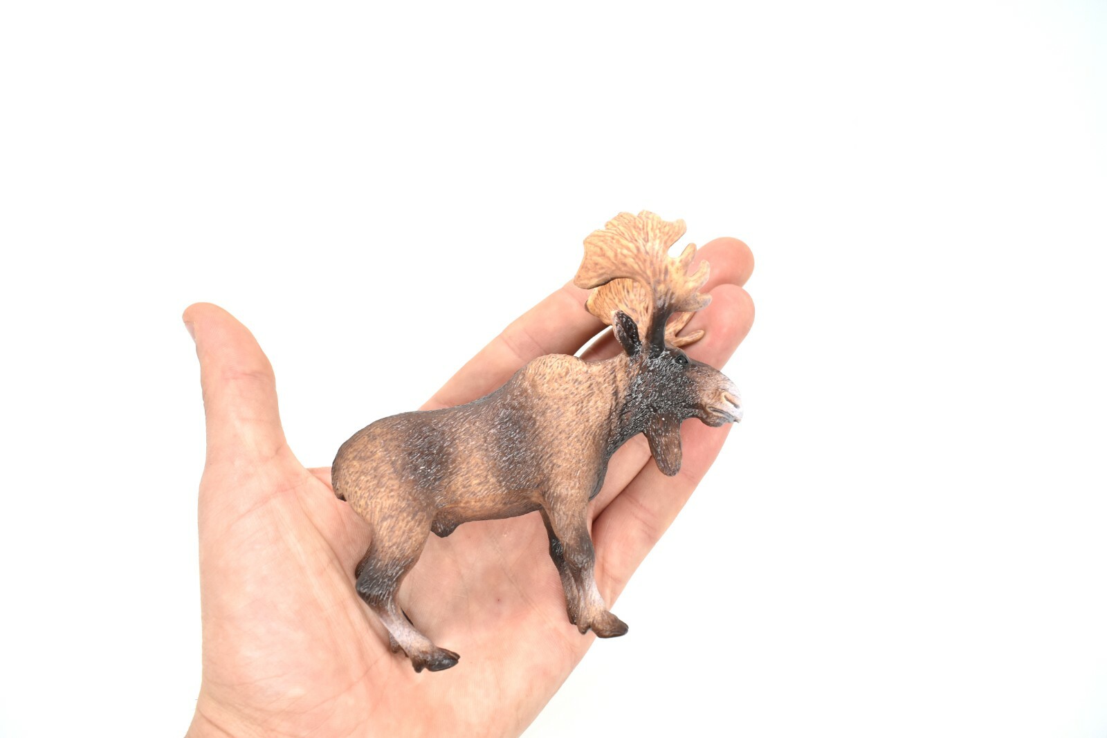 Moose Toy Model Plastic Replica Forest Animal, Kids Educational Gift 4″ OK613 B6