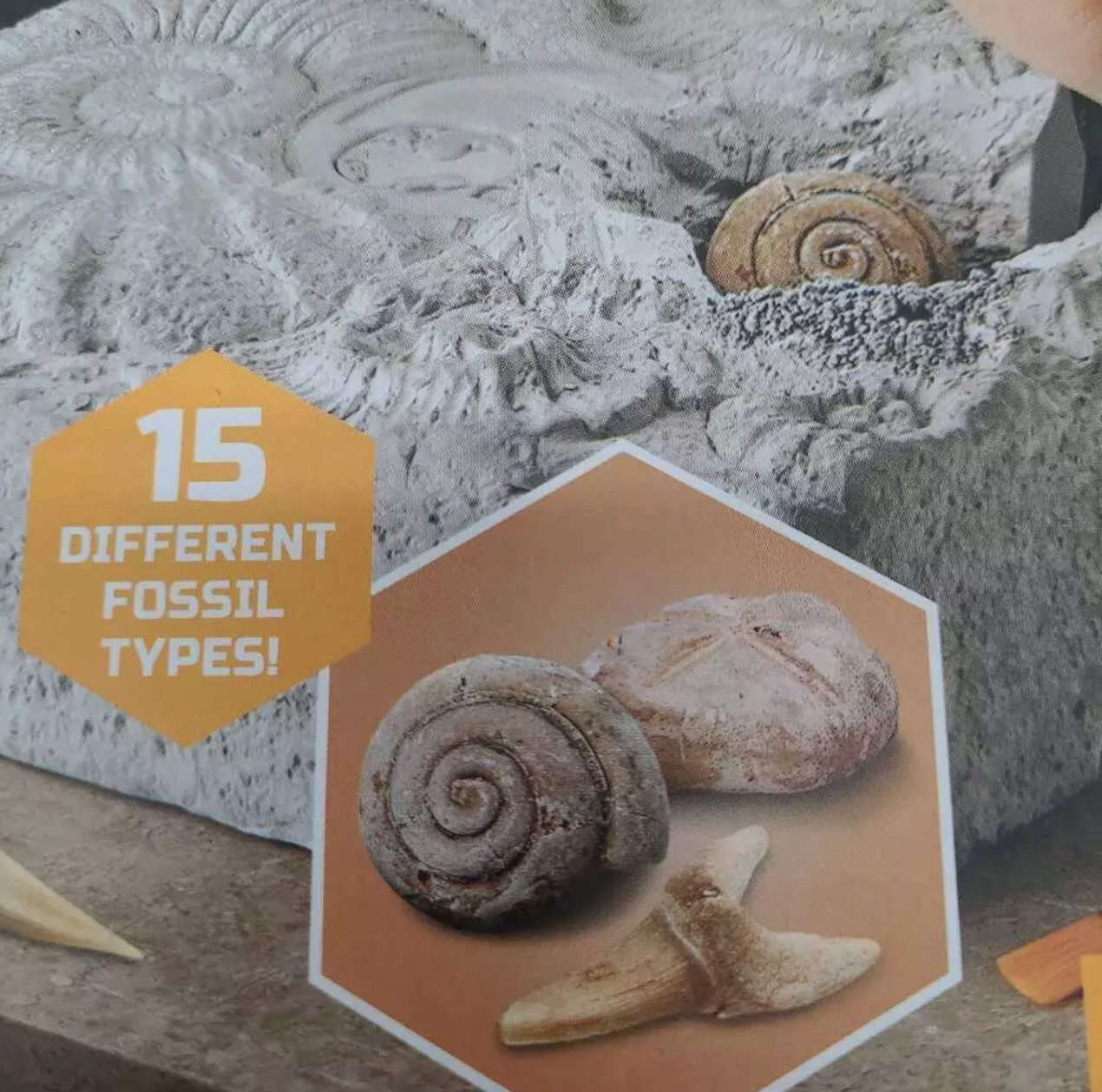 DISCOVERY #Mindblown Colossal Fossil Dig Excavation Kit, juguetes de aprendizaje