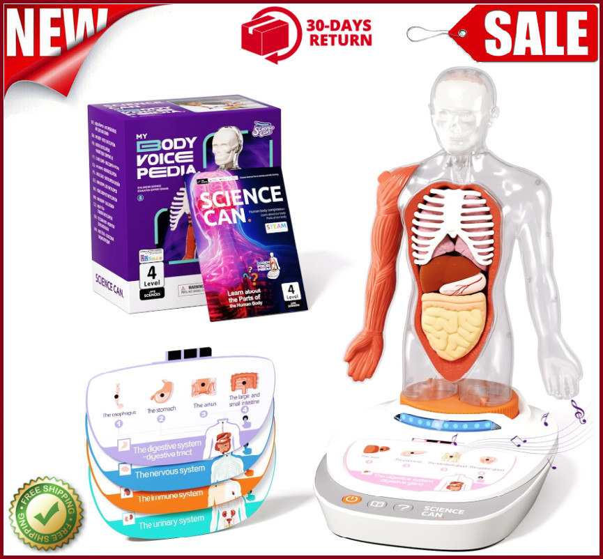 Human Body Model Educational Toy for Kid Interactive Human Anatomy Talking Model