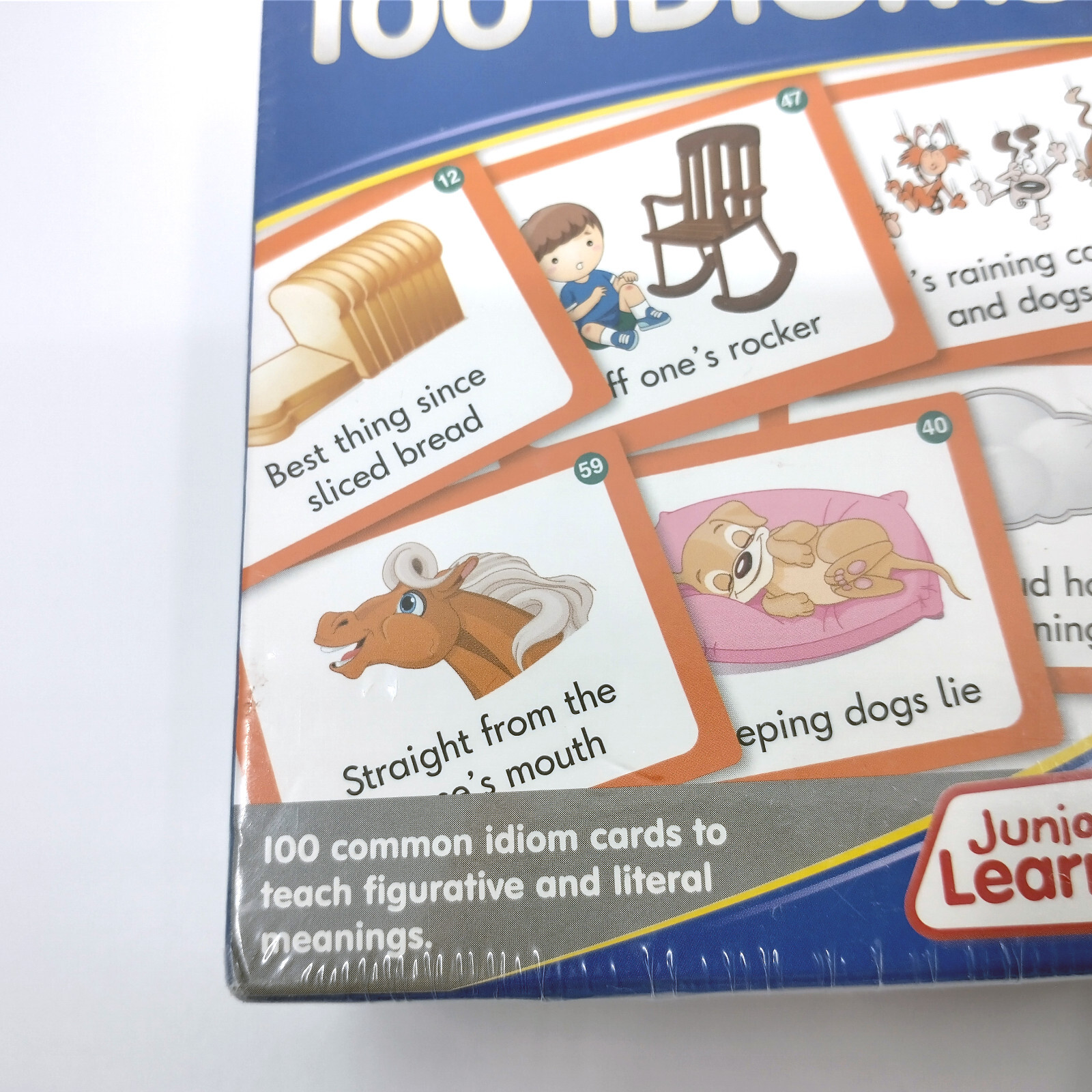 100 Common Idioms Cards by Junior Learning – Teach Figurative Language