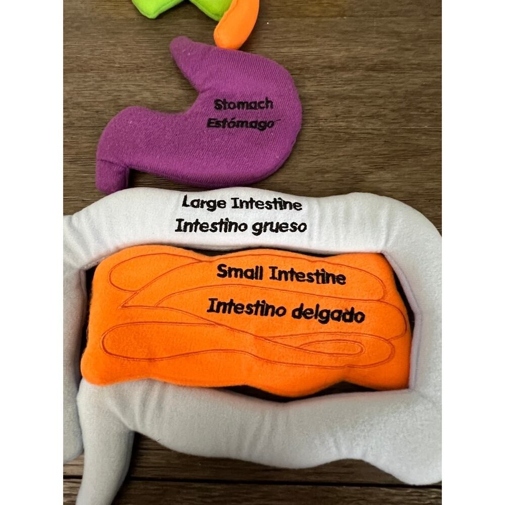 Excellerations Organ Replacement Parts for Learning Apron