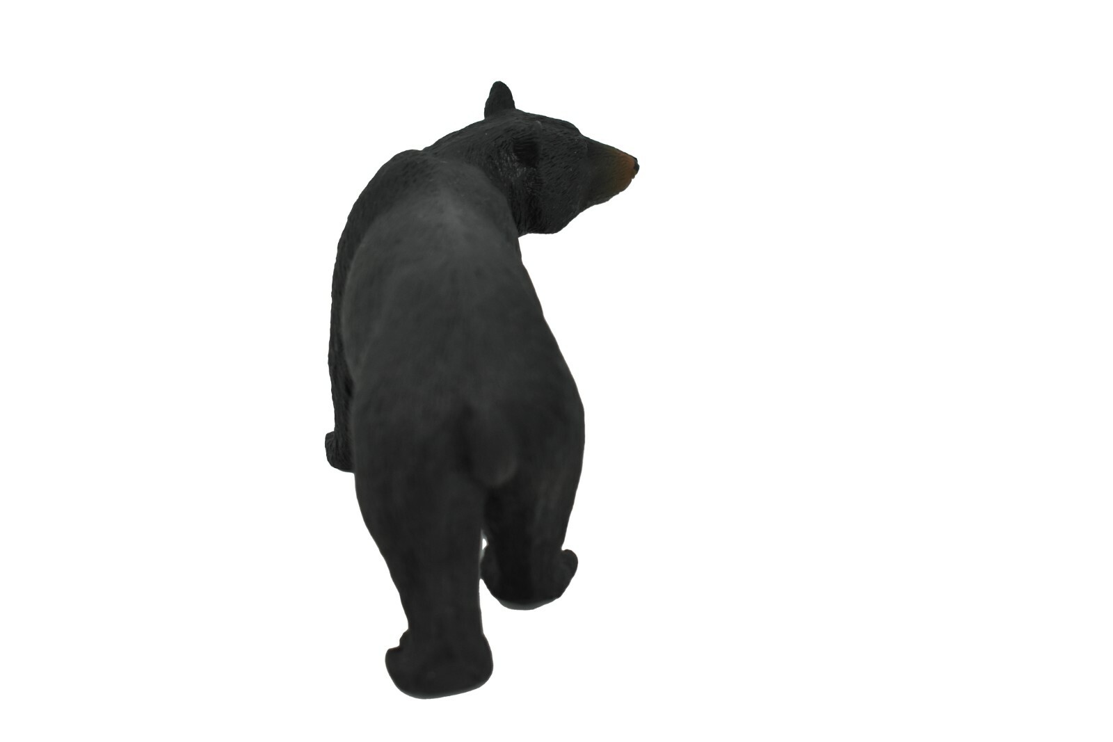 Black bear, Museum Quality Plastic Replica 4.5″W x 2.5″T M123-B648